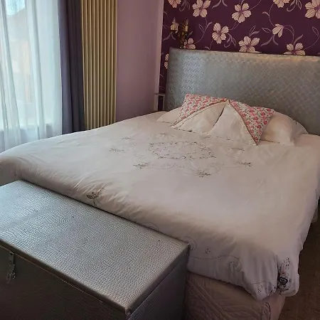 Apartment Confortable A Remiremont, Proche Centre Et Commerces, Garage Et Wifi Inclus - Fr-1-589-132 *